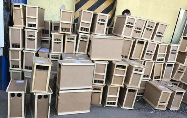 Укрпочта уморила 8 млн пчел Укрпочта уморила 8 млн пчел