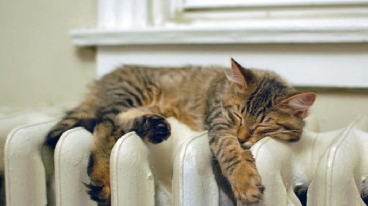 В 45 городах под угрозой начало отопительного сезона – Нафтогаз В 45 городах под угрозой начало отопительного сезона – Нафтогаз