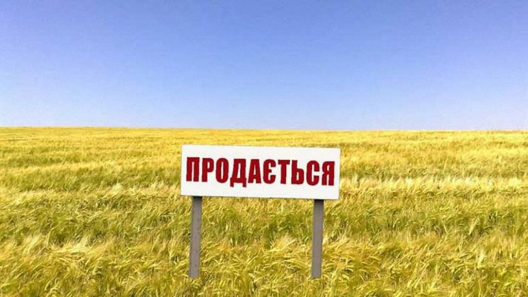 Снятие моратория на продажу с/х земель: обнародован скандальный законопроект Снятие моратория на продажу с/х земель: обнародован скандальный законопроект