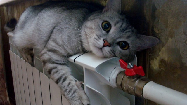 Центральные и местные власти подписали меморандум об отказе от повышения тарифов  Центральные и местные власти подписали меморандум об отказе от повышения тарифов