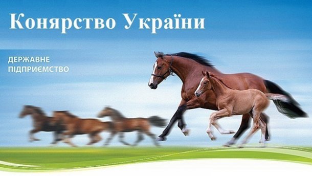 Аудит показал многомиллионные нарушения в «Коневодстве Украины» Аудит показал многомиллионные нарушения в «Коневодстве Украины»