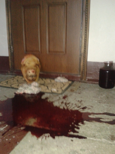 В Киеве оппозиционного журналиста продолжают запугивать В Киеве оппозиционного журналиста продолжают запугивать