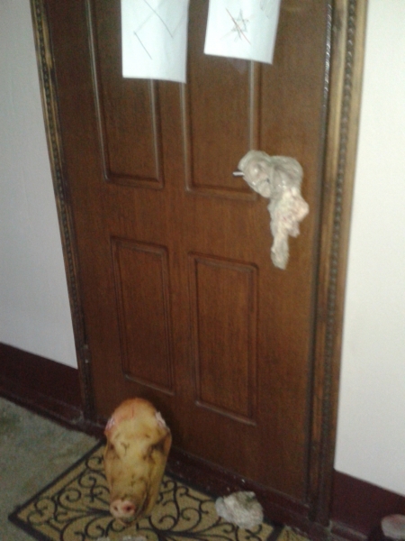 В Киеве оппозиционного журналиста продолжают запугивать В Киеве оппозиционного журналиста продолжают запугивать