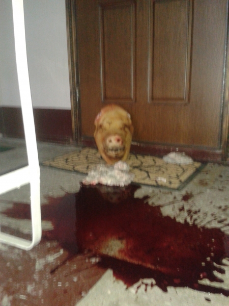 В Киеве оппозиционного журналиста продолжают запугивать В Киеве оппозиционного журналиста продолжают запугивать